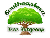Wake, Durham, Orange Counties Tree Services | Southeastern Tree Surgeons